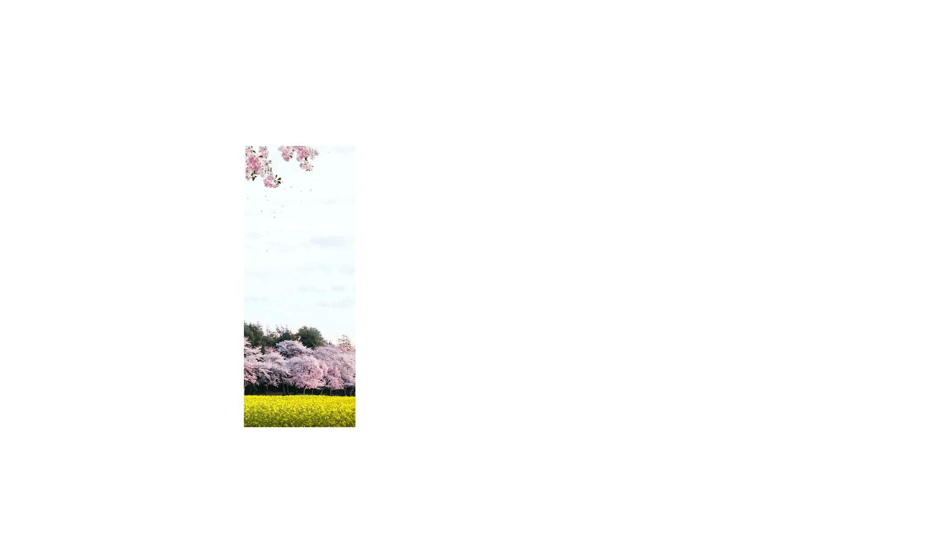 TOSTEM（トステム）100周年 キービジュアル