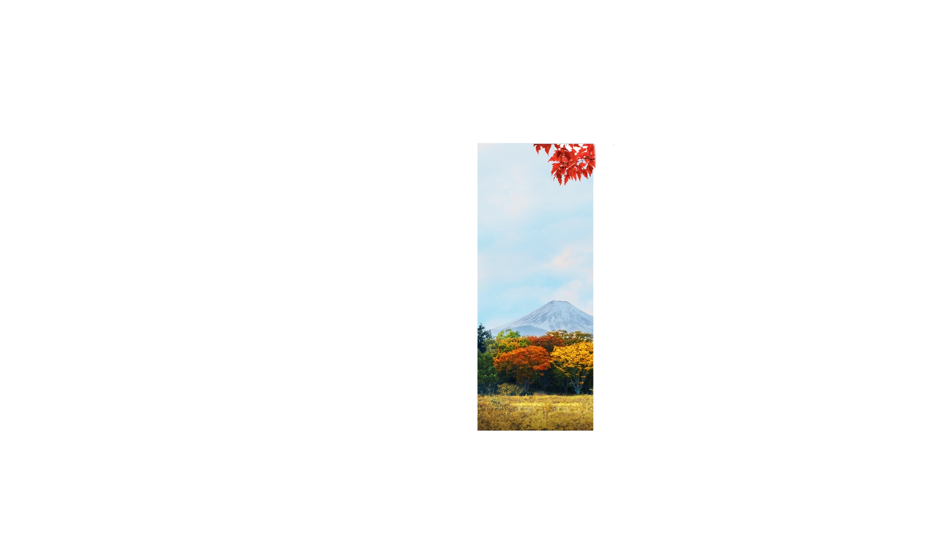 TOSTEM（トステム）100周年 キービジュアル